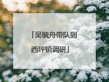 吴毓舟带队到西坪镇调研
