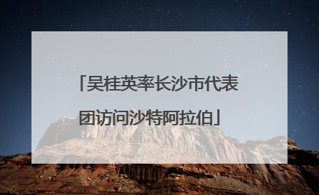 吴桂英率长沙市代表团访问沙特阿拉伯