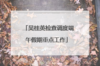 吴桂英检查调度端午假期重点工作