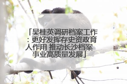 吴桂英调研档案工作：更好发挥存史资政育人作用 推动长沙档案事业高质量发展