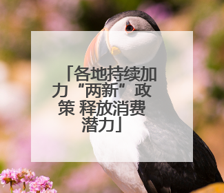 各地持续加力“两新”政策 释放消费潜力