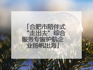 合肥市陪伴式“走出去”综合服务专窗护航企业扬帆出海