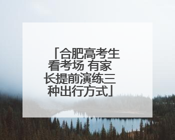 合肥高考生看考场 有家长提前演练三种出行方式
