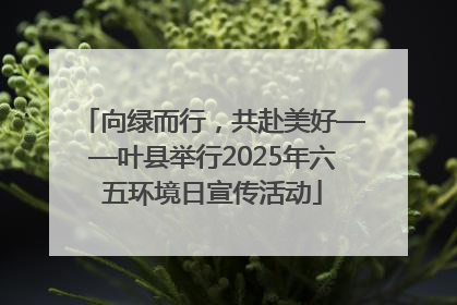 向绿而行，共赴美好——叶县举行2025年六五环境日宣传活动