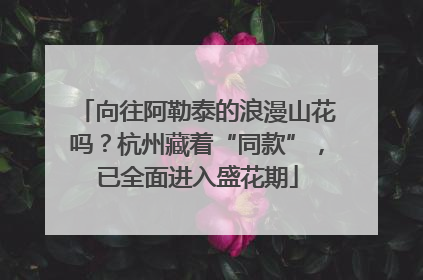 向往阿勒泰的浪漫山花吗？杭州藏着“同款”，已全面进入盛花期
