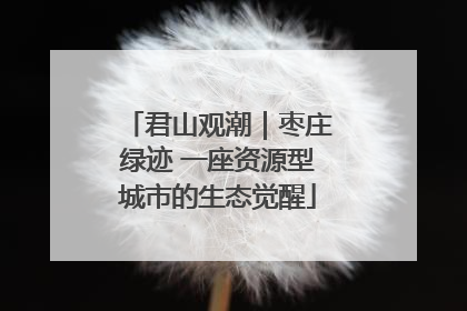 君山观潮｜枣庄绿迹 一座资源型城市的生态觉醒
