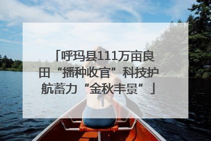 呼玛县111万亩良田“播种收官”科技护航蓄力“金秋丰景”
