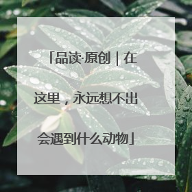 品读·原创｜在这里，永远想不出会遇到什么动物