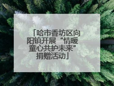 哈市香坊区向阳镇开展“情暖童心共护未来”捐赠活动