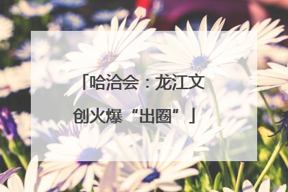 哈洽会：龙江文创火爆“出圈”
