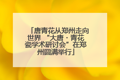 唐青花从郑州走向世界 “大唐・青花瓷学术研讨会”在郑州圆满举行