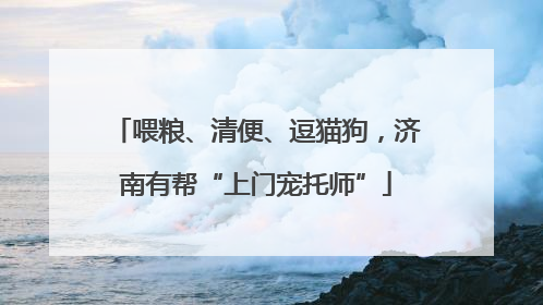 喂粮、清便、逗猫狗，济南有帮“上门宠托师”