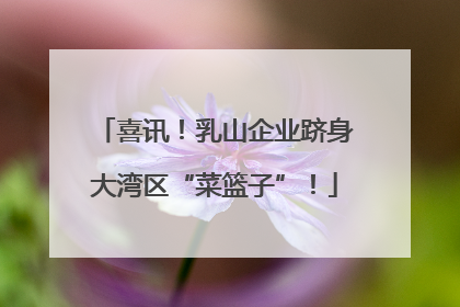 喜讯！乳山企业跻身大湾区“菜篮子”！