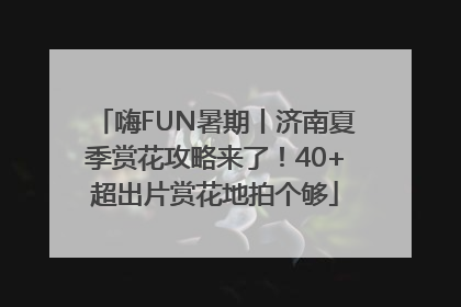 嗨FUN暑期丨济南夏季赏花攻略来了！40+超出片赏花地拍个够