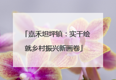 嘉禾坦坪镇：实干绘就乡村振兴新画卷