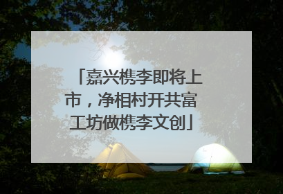 嘉兴槜李即将上市，净相村开共富工坊做槜李文创