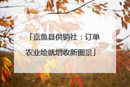 嘉鱼县供销社：订单农业绘就增收新图景