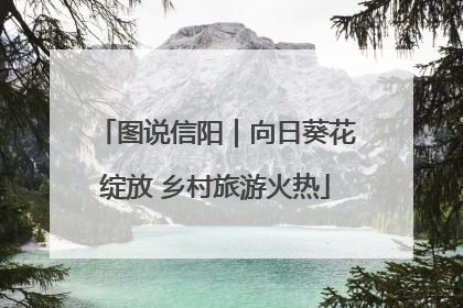 图说信阳｜向日葵花绽放 乡村旅游火热