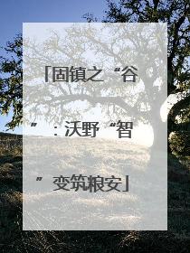 固镇之“谷”：沃野“智”变筑粮安