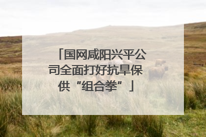国网咸阳兴平公司全面打好抗旱保供“组合拳”