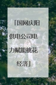 国网庆阳供电公司电力赋能桃花经济