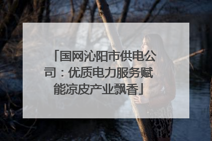国网沁阳市供电公司：优质电力服务赋能凉皮产业飘香