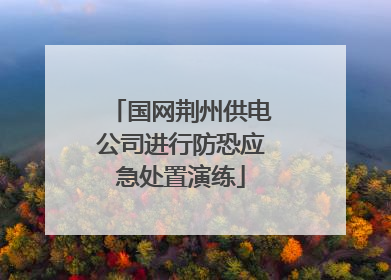 国网荆州供电公司进行防恐应急处置演练