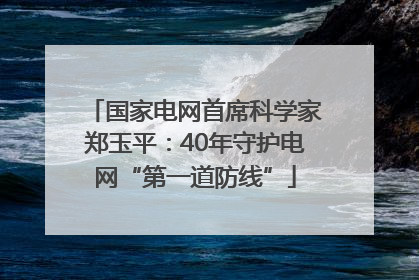 国家电网首席科学家郑玉平：40年守护电网“第一道防线”