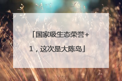 国家级生态荣誉+1，这次是大陈岛