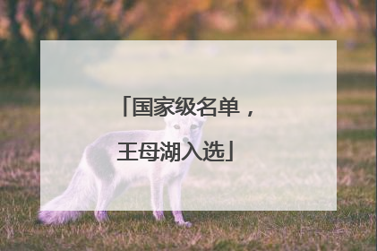 国家级名单，王母湖入选