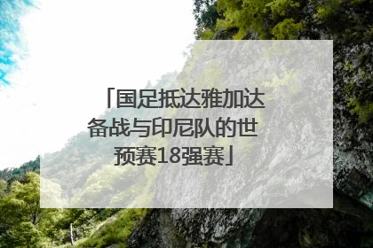 国足抵达雅加达备战与印尼队的世预赛18强赛