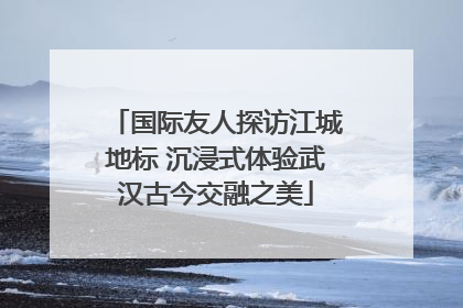国际友人探访江城地标 沉浸式体验武汉古今交融之美