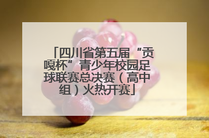 四川省第五届“贡嘎杯”青少年校园足球联赛总决赛（高中组）火热开赛