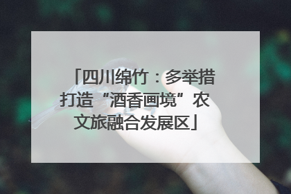 四川绵竹：多举措打造“酒香画境”农文旅融合发展区