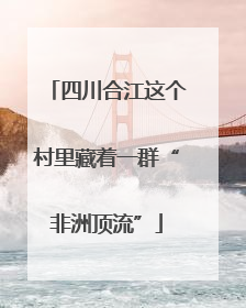 四川合江这个村里藏着一群“非洲顶流”
