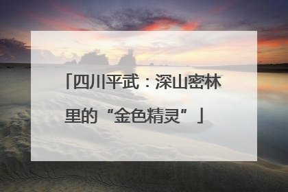 四川平武：深山密林里的“金色精灵”
