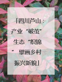 四川芦山：产业“破茧” 生态“织锦” 擘画乡村振兴新貌