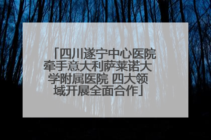 四川遂宁中心医院牵手意大利萨莱诺大学附属医院 四大领域开展全面合作