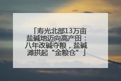 寿光北部13万亩盐碱地迈向高产田：八年改碱夺粮，盐碱滩拱起“金粮仓”