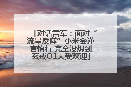 对话雷军：面对“流量反噬”小米会谨言慎行 完全没想到玄戒O1大受欢迎