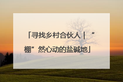 寻找乡村合伙人｜“棚”然心动的盐碱地