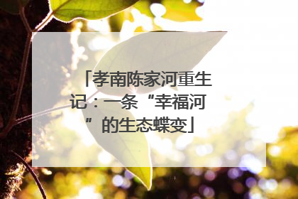 孝南陈家河重生记：一条“幸福河”的生态蝶变