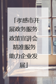 孝感市开展政务服务政策宣讲会 精准服务助力企业发展