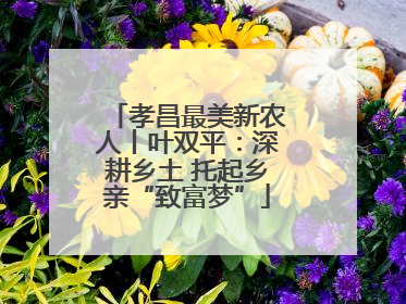 孝昌最美新农人丨叶双平：深耕乡土 托起乡亲“致富梦”
