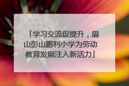 学习交流促提升，眉山彭山鹏利小学为劳动教育发展注入新活力