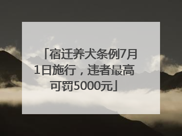 宿迁养犬条例7月1日施行，违者最高可罚5000元