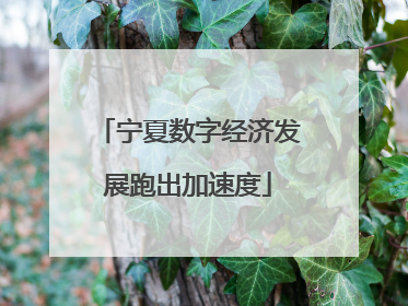 宁夏数字经济发展跑出加速度
