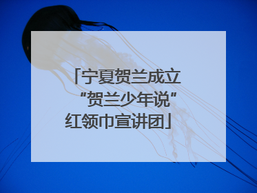宁夏贺兰成立“贺兰少年说”红领巾宣讲团