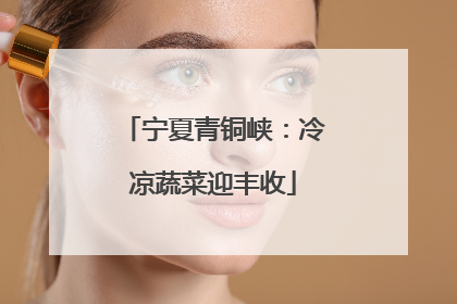 宁夏青铜峡：冷凉蔬菜迎丰收