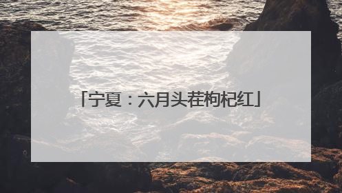 宁夏：六月头茬枸杞红